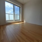 レス30番の画像サムネイル