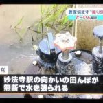 レス22番の画像サムネイル