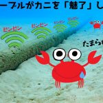 レス3番の画像サムネイル