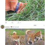 レス1番の画像サムネイル