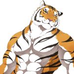 レス39番の画像サムネイル
