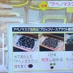 レス1番の画像サムネイル