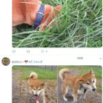 レス1番の画像サムネイル