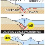 レス2番の画像サムネイル
