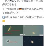 レス1番の画像サムネイル