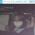 レス1番の画像サムネイル