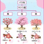 レス2番の画像サムネイル