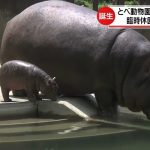 レス37番の画像サムネイル
