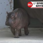 レス37番の画像サムネイル