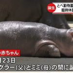 レス37番の画像サムネイル