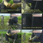 レス32番の画像サムネイル
