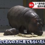 レス37番の画像サムネイル