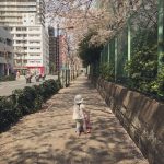 レス4番の画像サムネイル