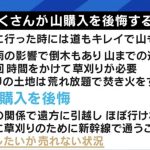 レス2番の画像サムネイル