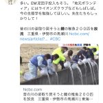 レス1番の画像サムネイル