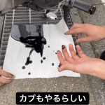 レス4番の画像サムネイル