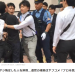 レス1番の画像サムネイル
