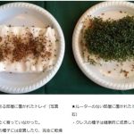 レス14番の画像サムネイル