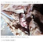 レス15番の画像サムネイル