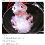 レス13番の画像サムネイル