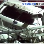 レス10番の画像サムネイル