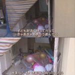 レス2番の画像サムネイル