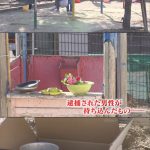 レス2番の画像サムネイル