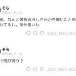 レス53番の画像サムネイル