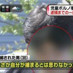 レス1番の画像サムネイル