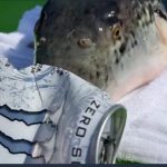レス2番の画像サムネイル