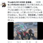 レス7番の画像サムネイル