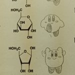 レス2番の画像サムネイル