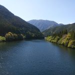 レス20番の画像サムネイル