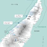 レス2番の画像サムネイル