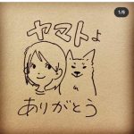 レス1番の画像サムネイル
