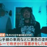 レス2番の画像サムネイル