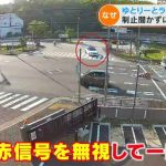 レス2番の画像サムネイル