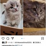 レス1番の画像サムネイル