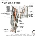 レス22番の画像サムネイル