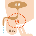 レス3番の画像サムネイル