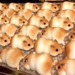 レス1番の画像サムネイル