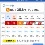 レス65番の画像サムネイル