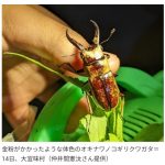 レス3番の画像サムネイル
