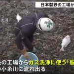 レス2番の画像サムネイル