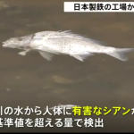 レス2番の画像サムネイル