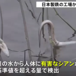 レス2番の画像サムネイル