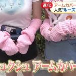 レス11番の画像サムネイル