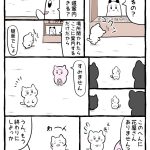 レス4番の画像サムネイル