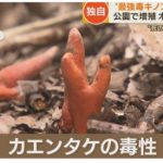 レス2番の画像サムネイル