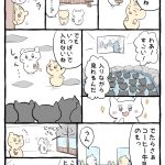 レス6番の画像サムネイル